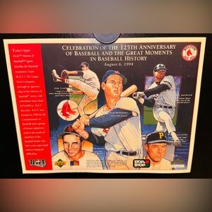 COPY - Boston Red Sox Ted Williams Numbered Art Prints 1990s